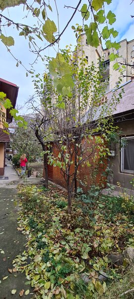 Piata Romana - Bucuresti - Sector 1